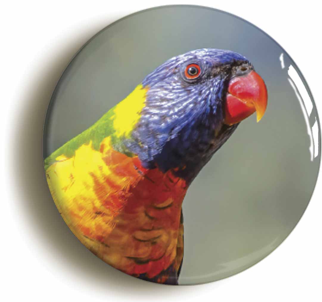 A picture of a button badge