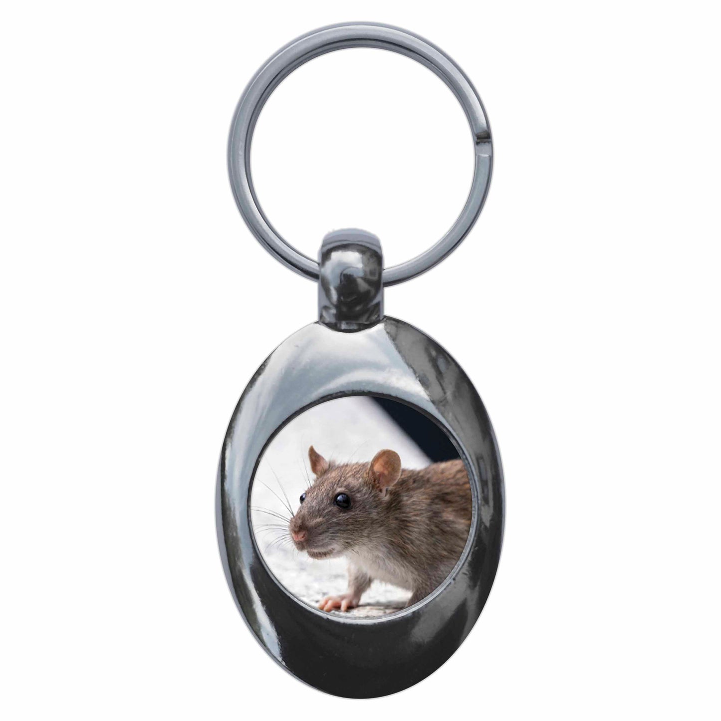 An image of a keyring
