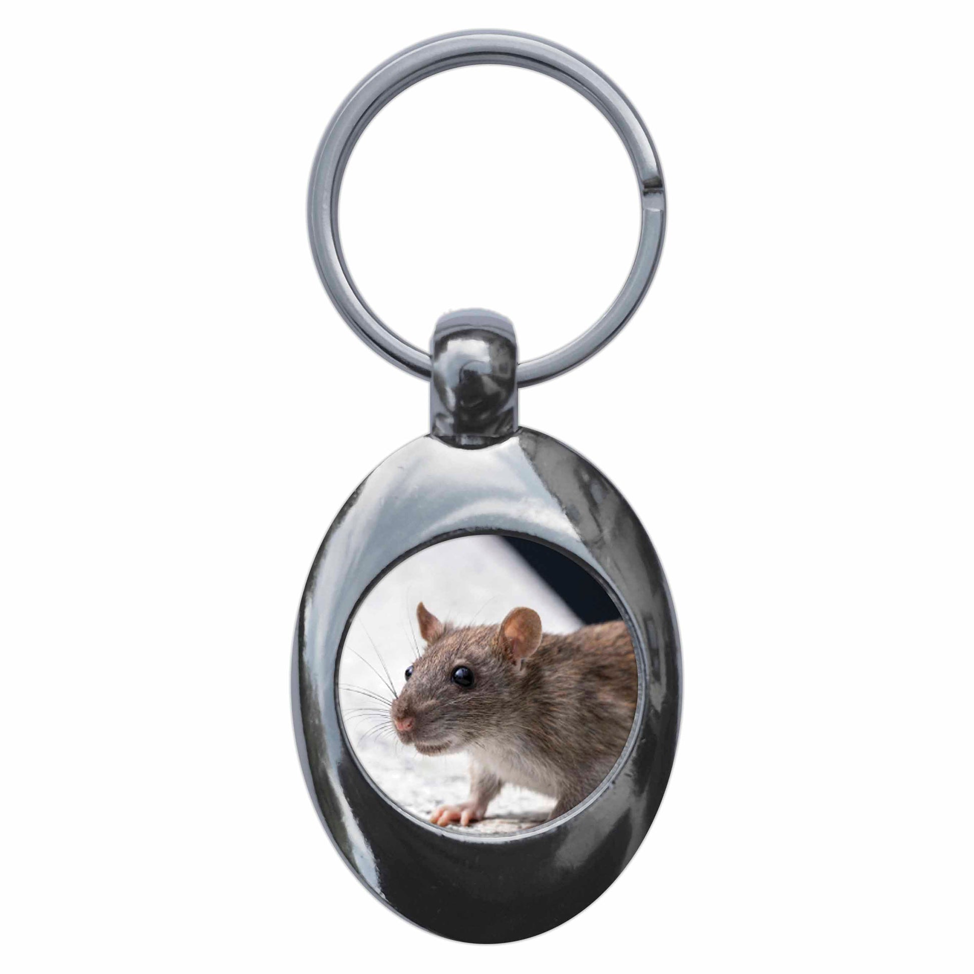 An image of a keyring