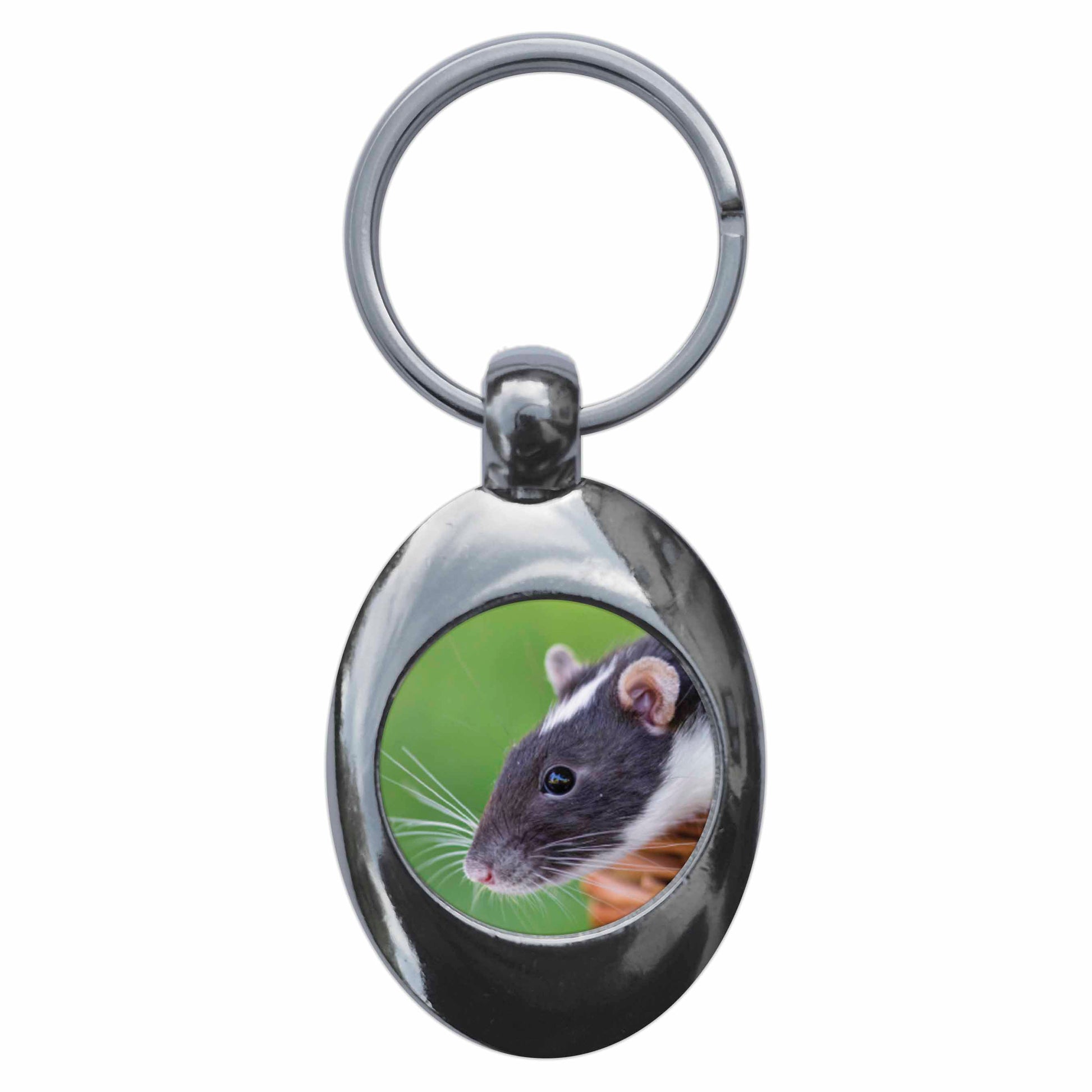 An image of a keyring