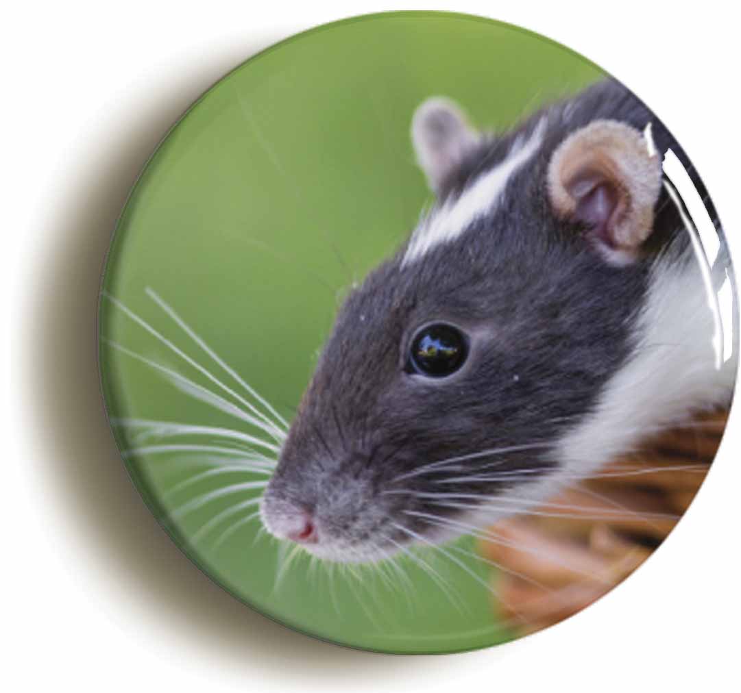 A picture of a fridge magnet
