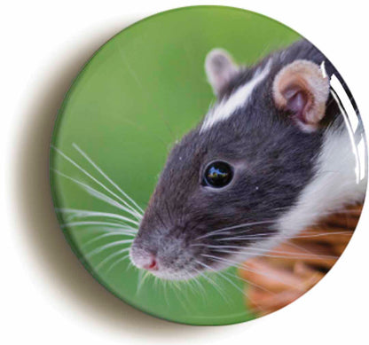 A picture of a fridge magnet