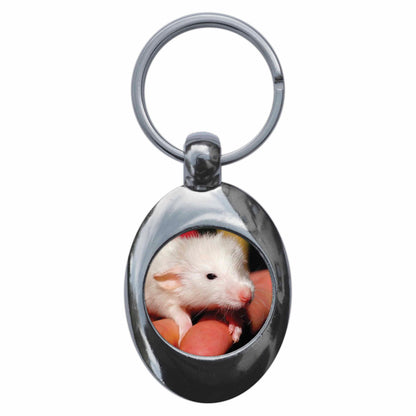An image of a keyring