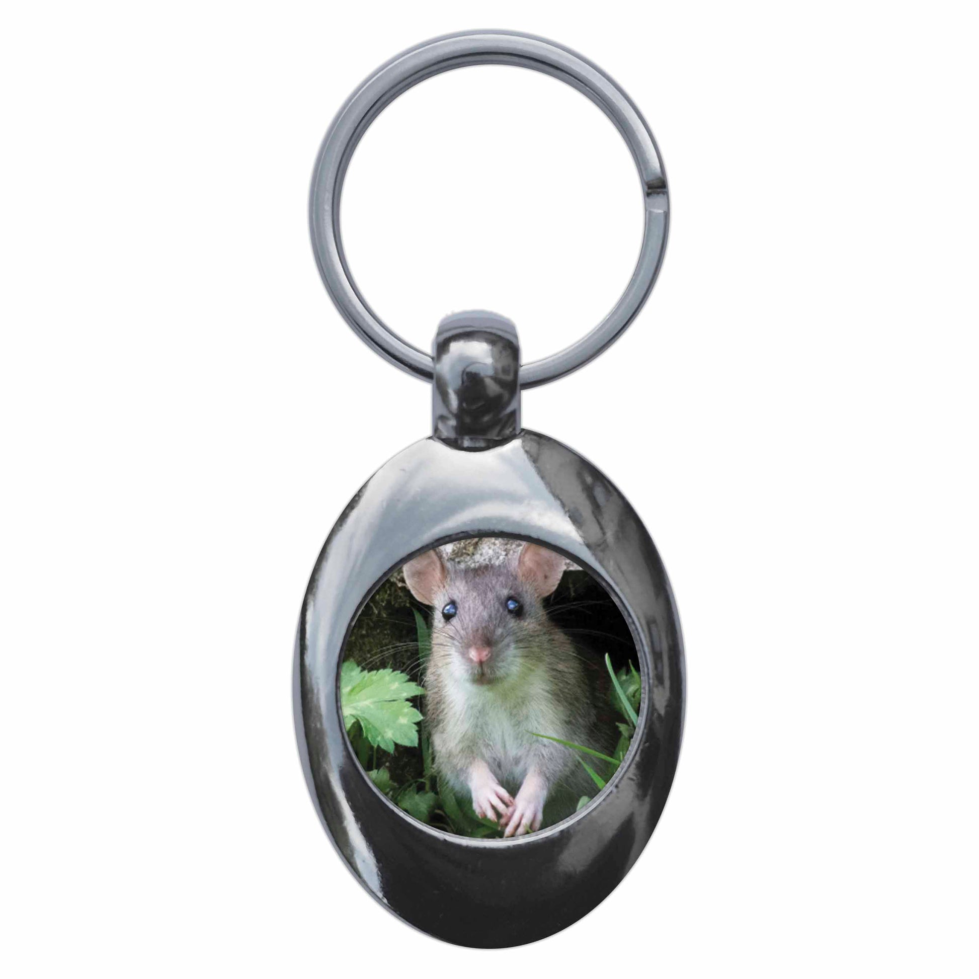 An image of a keyring