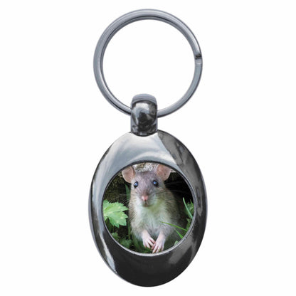 An image of a keyring