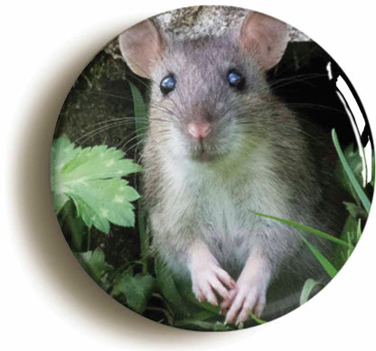 A picture of a button badge