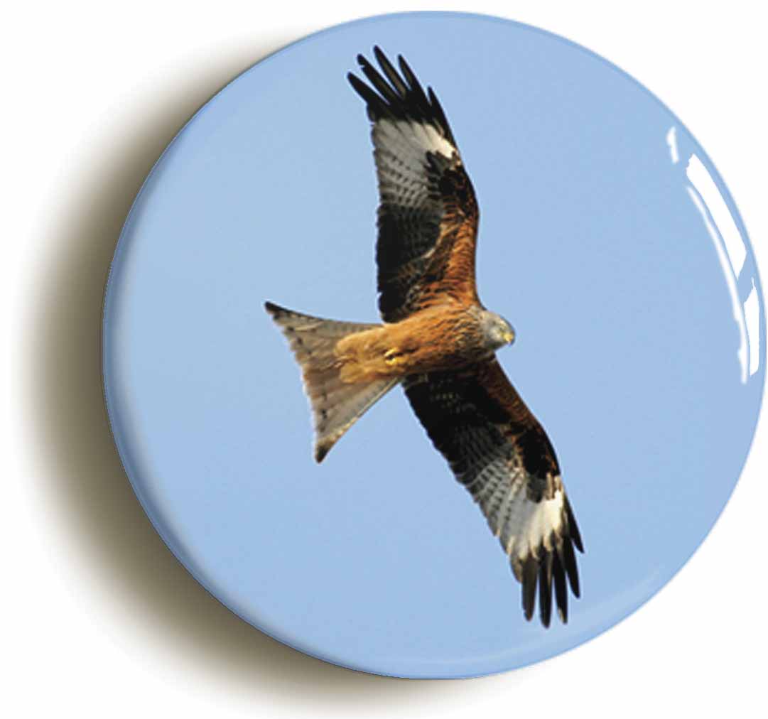 A picture of a button badge