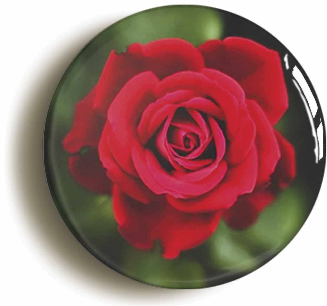 A picture of a fridge magnet