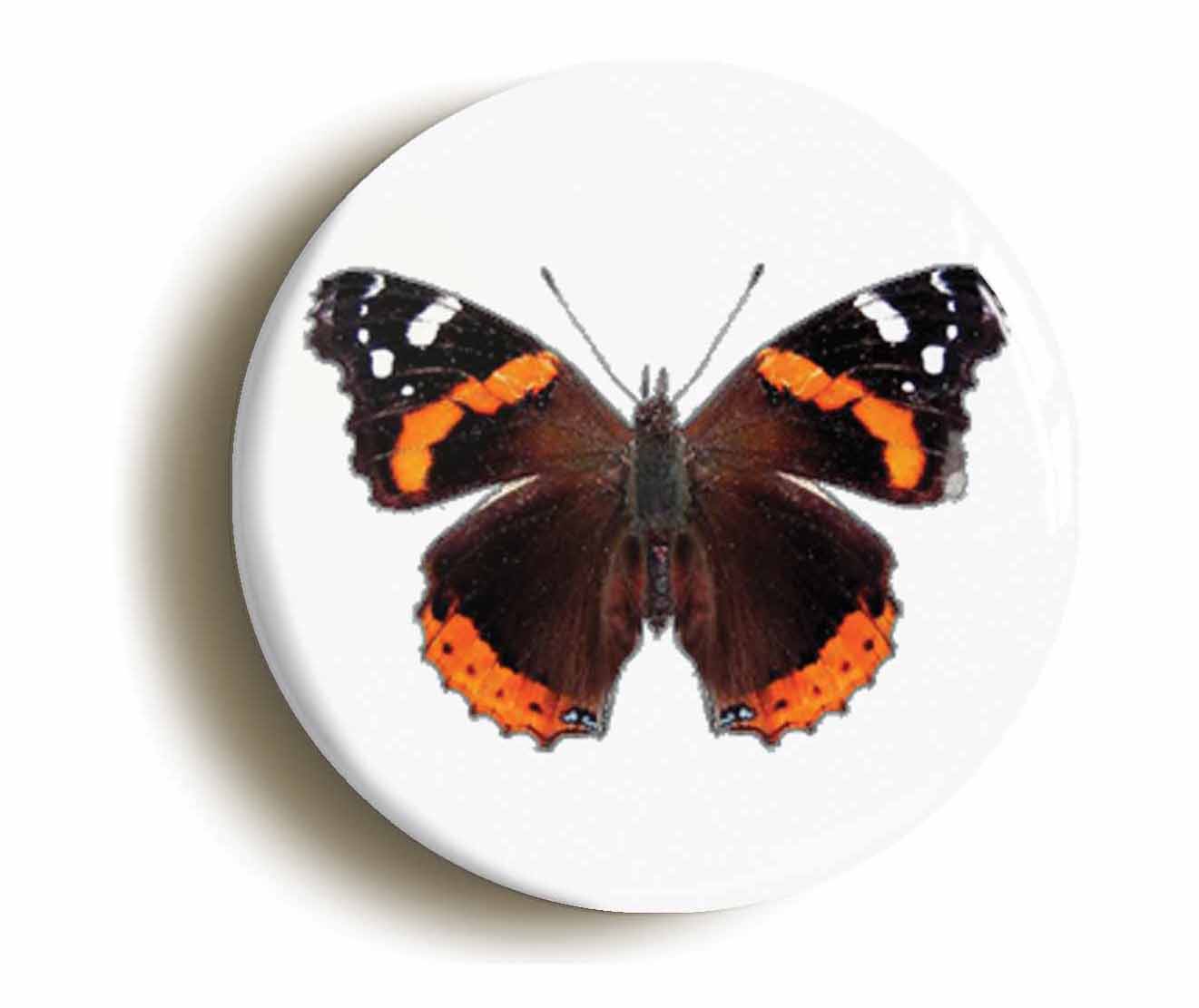 A picture of the front of the product, titled Red Admiral Butterfly Button Pin Badge