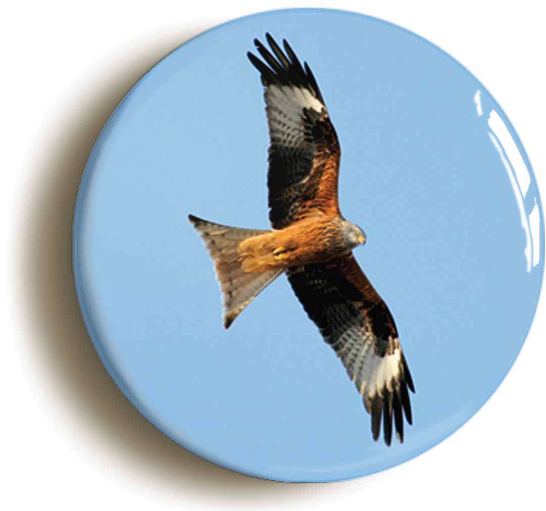 A picture of the front of the product, titled Red Kite Circular 50mm Fridge Magnet