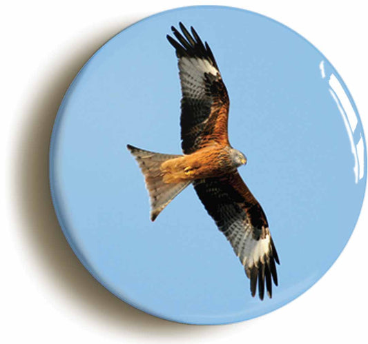 A picture of the front of the product, titled Red Kite Circular 50mm Fridge Magnet