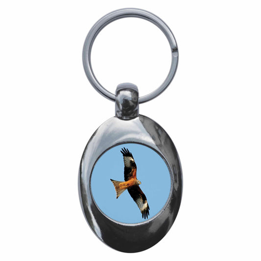 A picture of the front of the product, titled Red Kite Metal Keyring With Trolley Coin