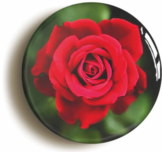 A picture of the front of the product, titled Red Rose Flower Button Pin Badge
