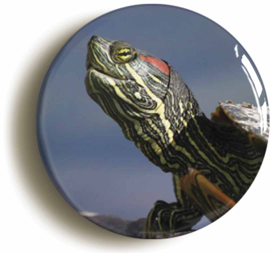 A picture of a button badge