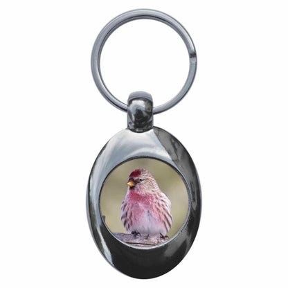 An image of a keyring