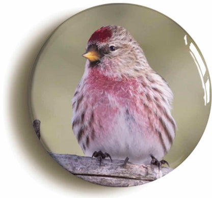 A picture of a button badge