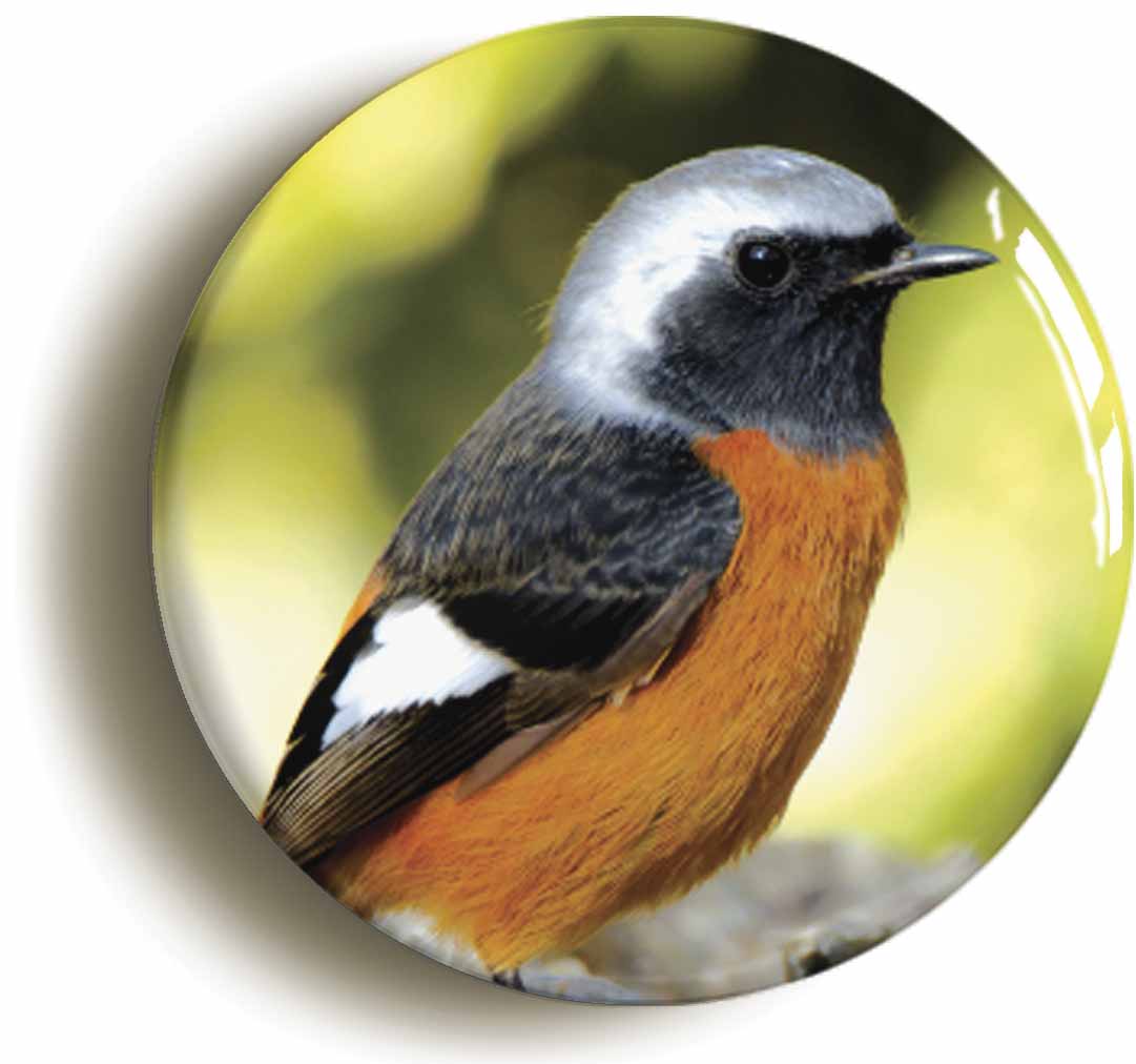 A picture of a fridge magnet