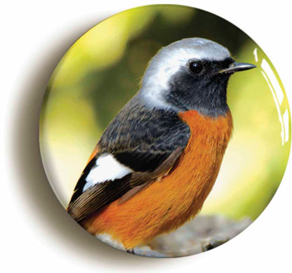 A picture of a fridge magnet