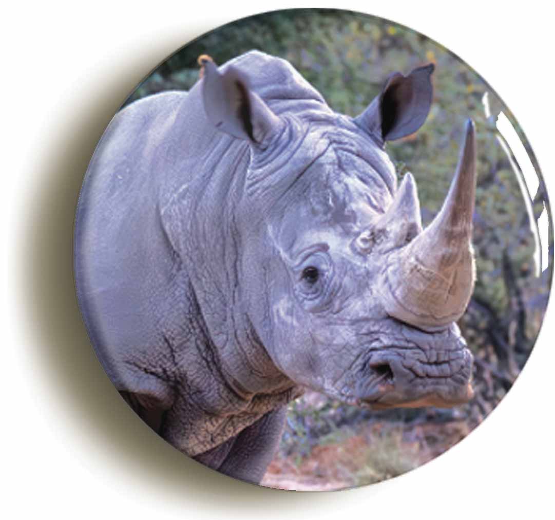 A picture of a fridge magnet