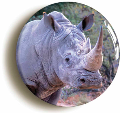 A picture of a fridge magnet
