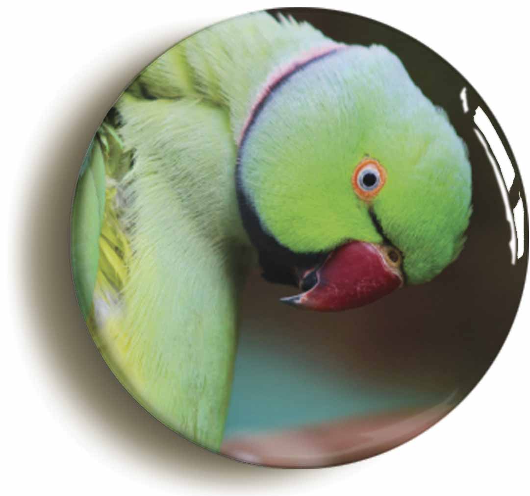 A picture of a fridge magnet