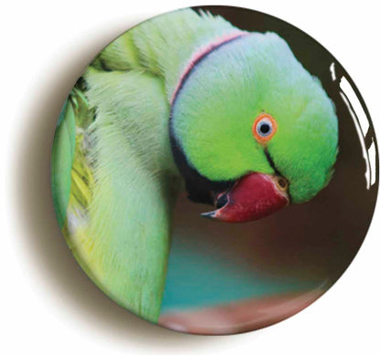 A picture of a fridge magnet