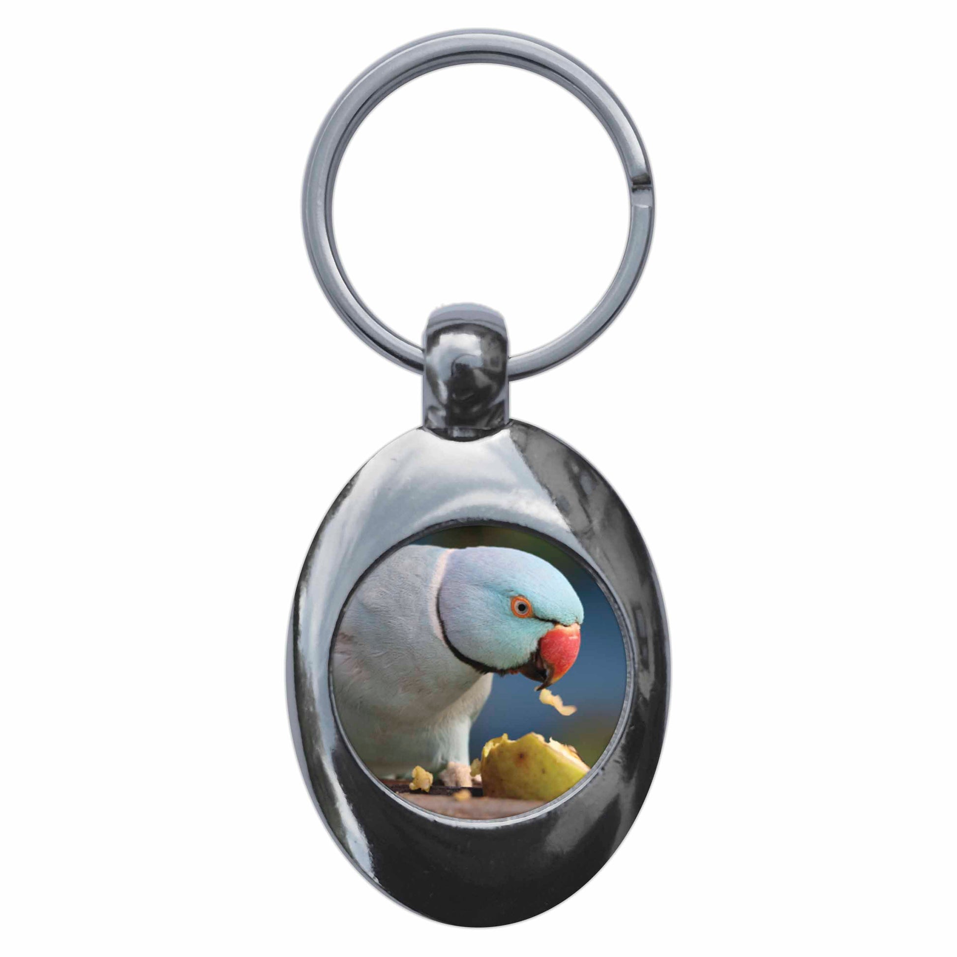 An image of a keyring