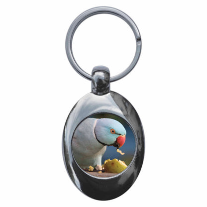 An image of a keyring