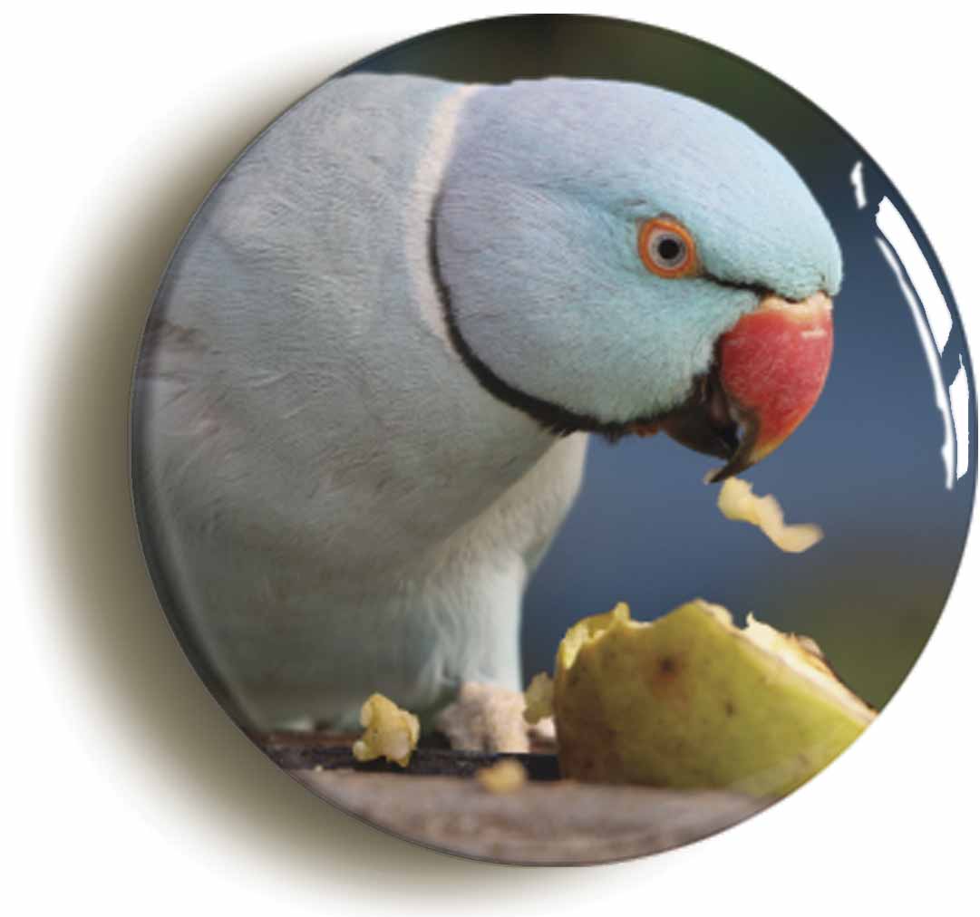 A picture of a button badge
