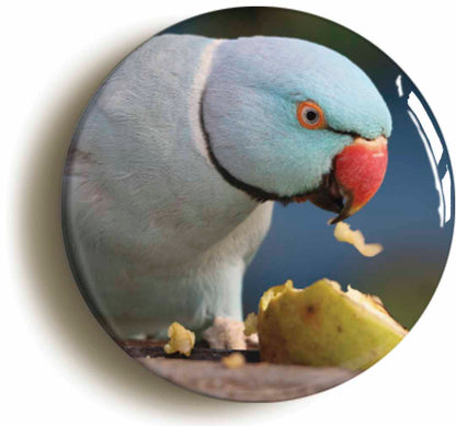 A picture of a fridge magnet