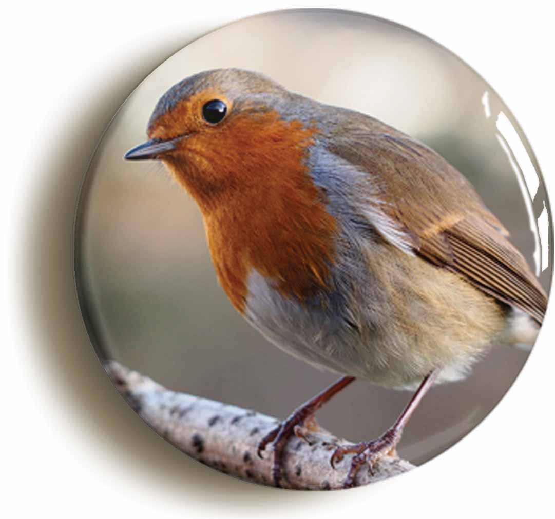 A picture of the front of the product, titled Robin Red Breast Bird Circular 50mm Fridge Magnet