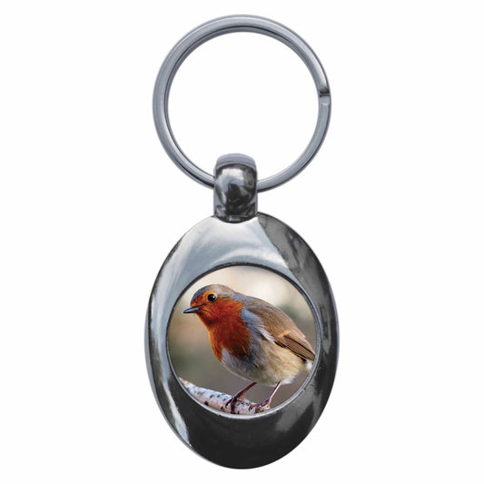 A picture of the front of the product, titled Robin Red Breast Bird Metal Keyring With Trolley Coin