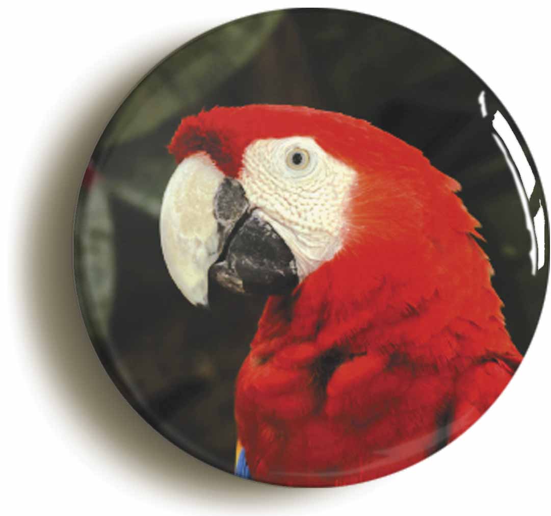 A picture of a fridge magnet