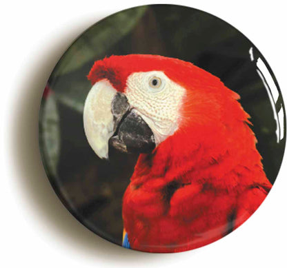 A picture of a fridge magnet