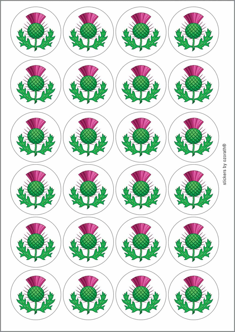 A picture of an A4 sheet of matte paper stickers