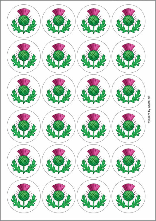 A picture of an A4 sheet of matte paper stickers
