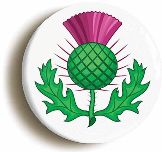 A picture of the front of the product, titled Scotland Scottish Thistle Button Pin Badge
