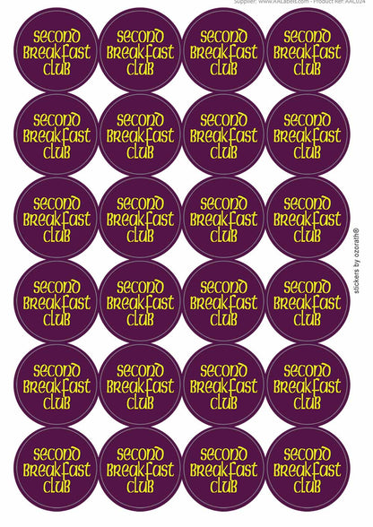 A picture of an A4 sheet of matte paper stickers