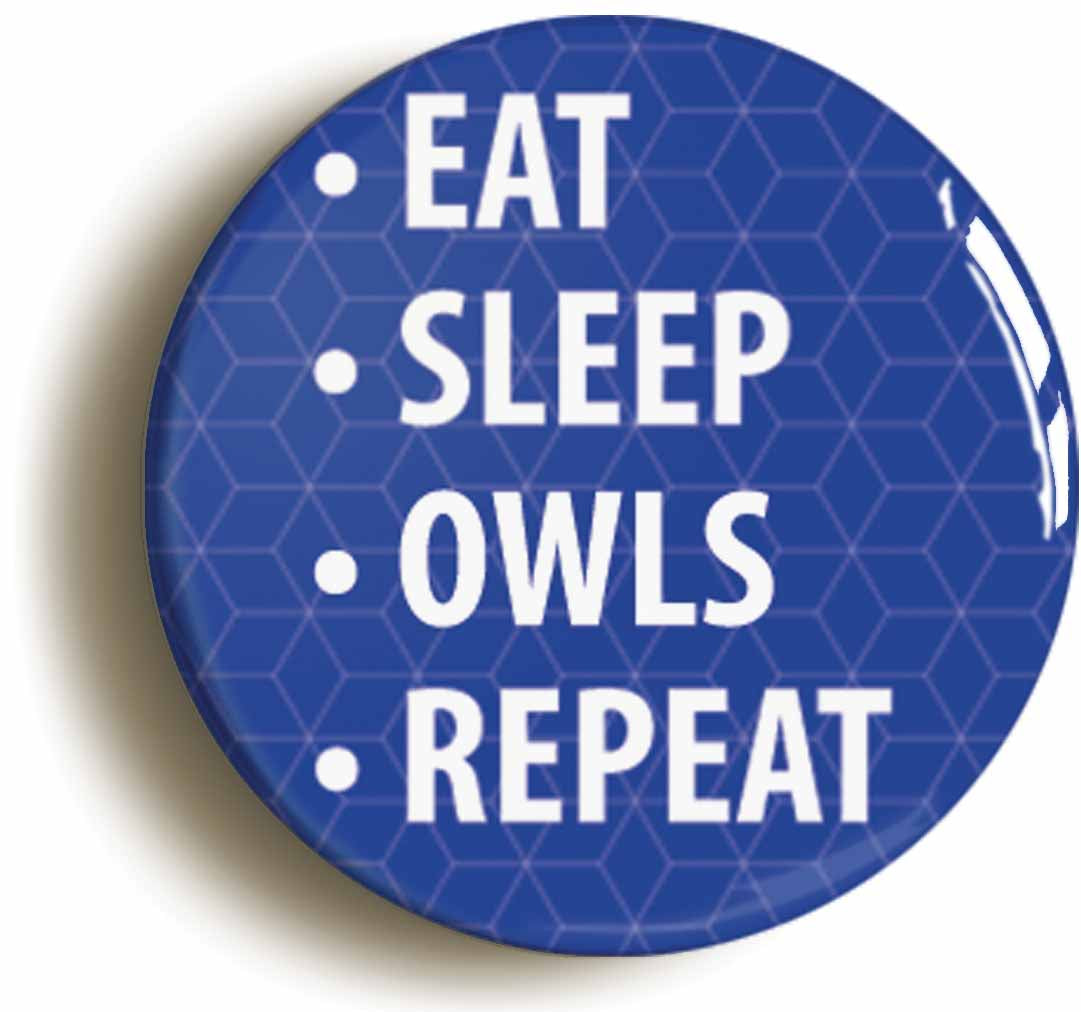 A picture of the front of the product, titled Eat Sleep Owls Repeat Button Pin Badge