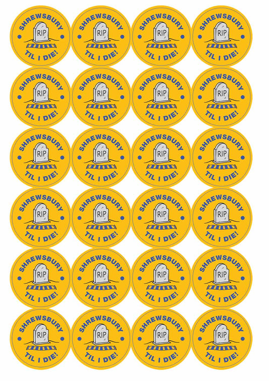 A picture of an A4 sheet of matte paper stickers
