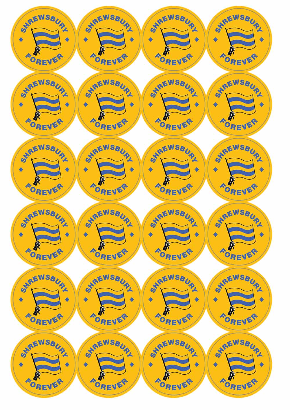 A picture of an A4 sheet of matte paper stickers