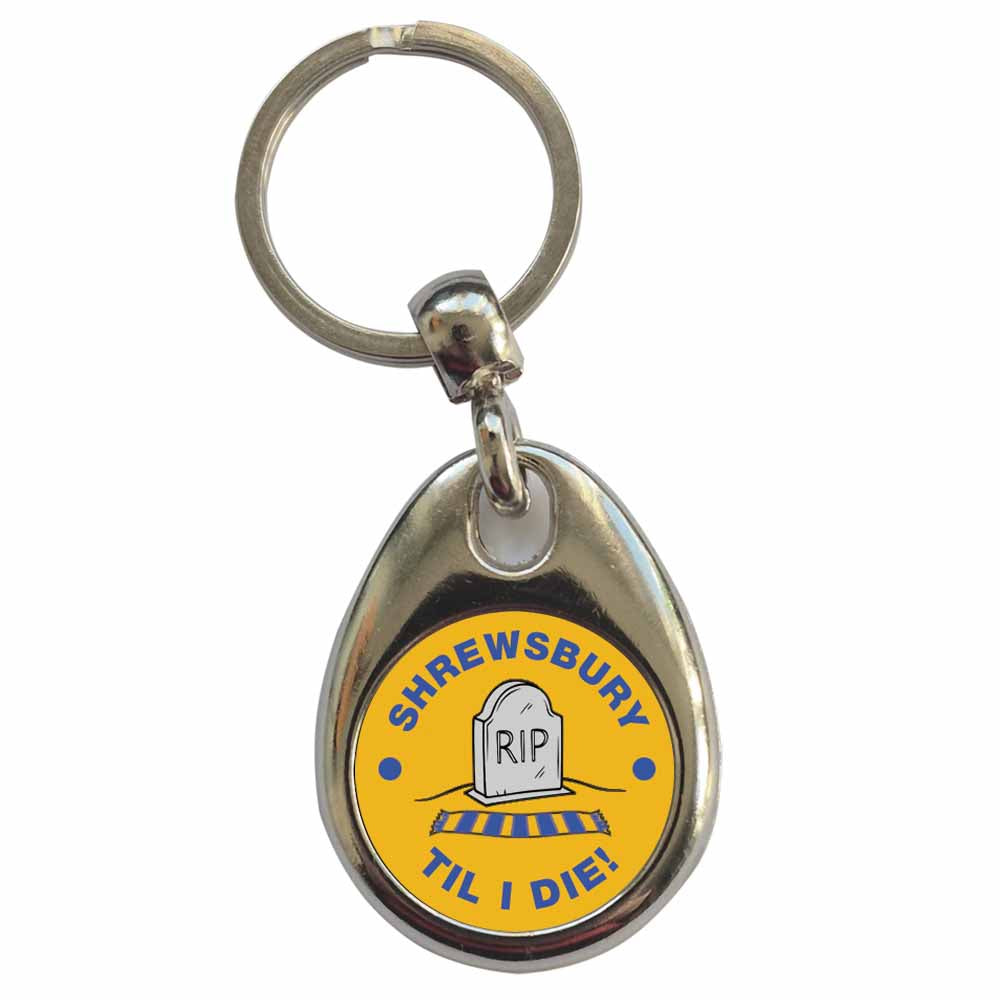An image of a plain metal keyring