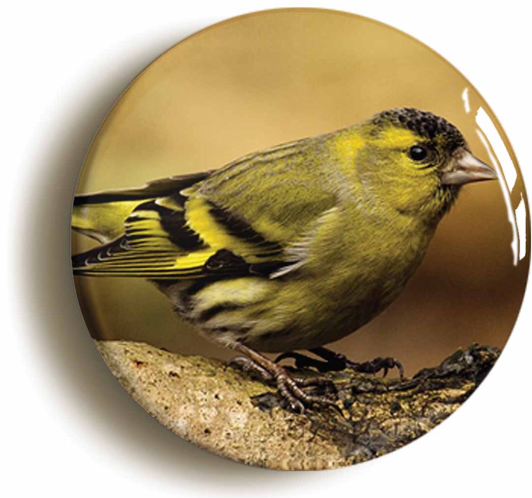 A picture of the front of the product, titled Siskin Circular 50mm Fridge Magnet