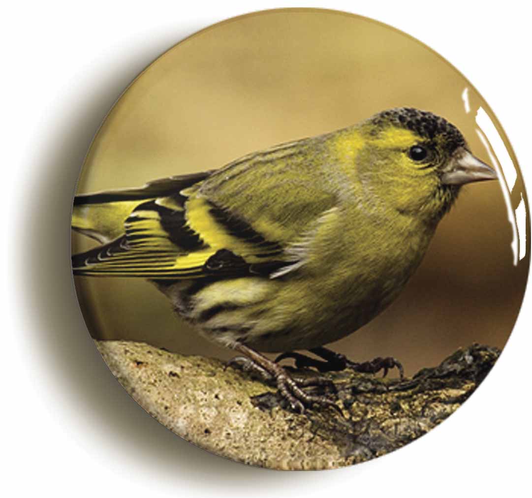 A picture of a fridge magnet
