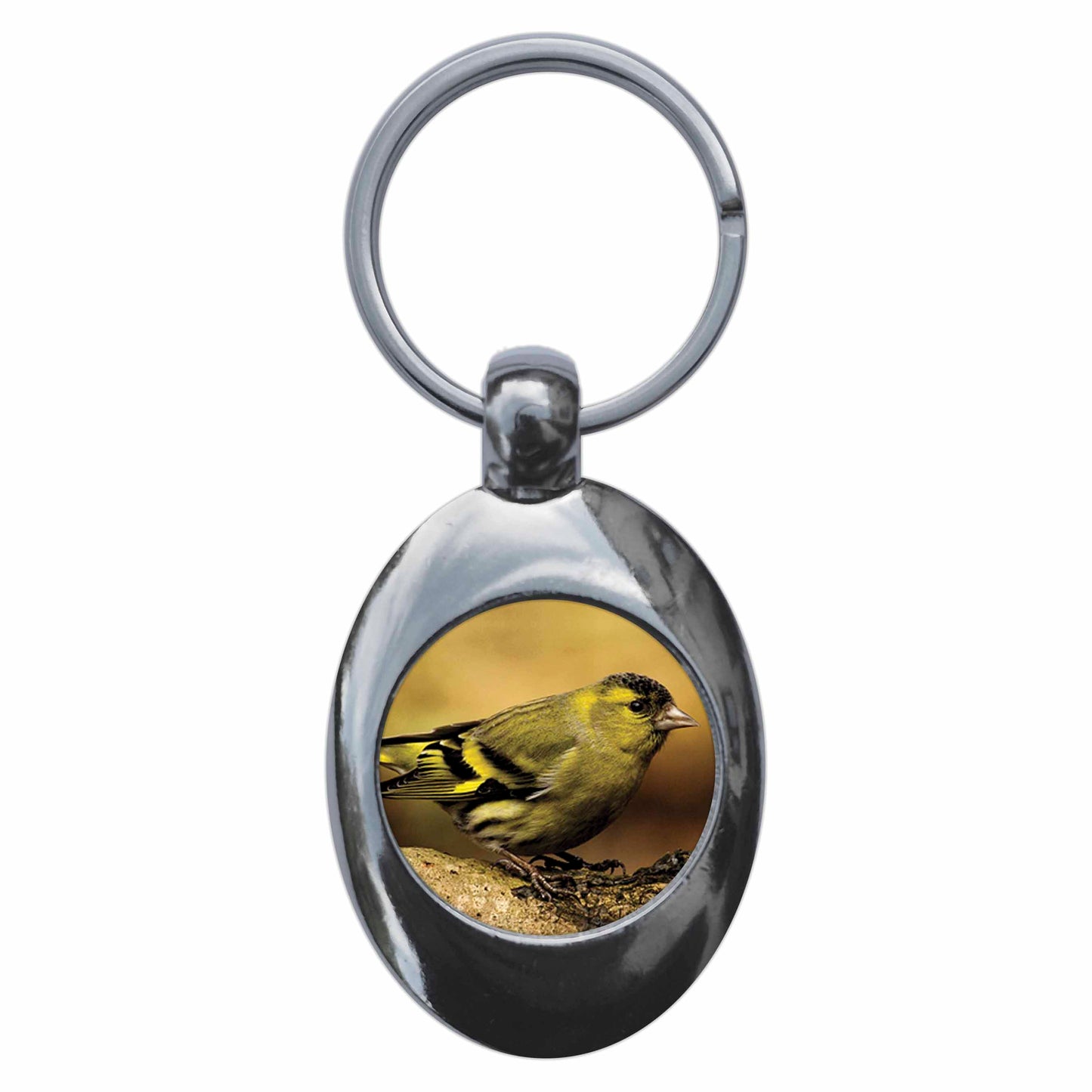 A picture of the front of the product, titled Siskin Metal Keyring With Trolley Coin