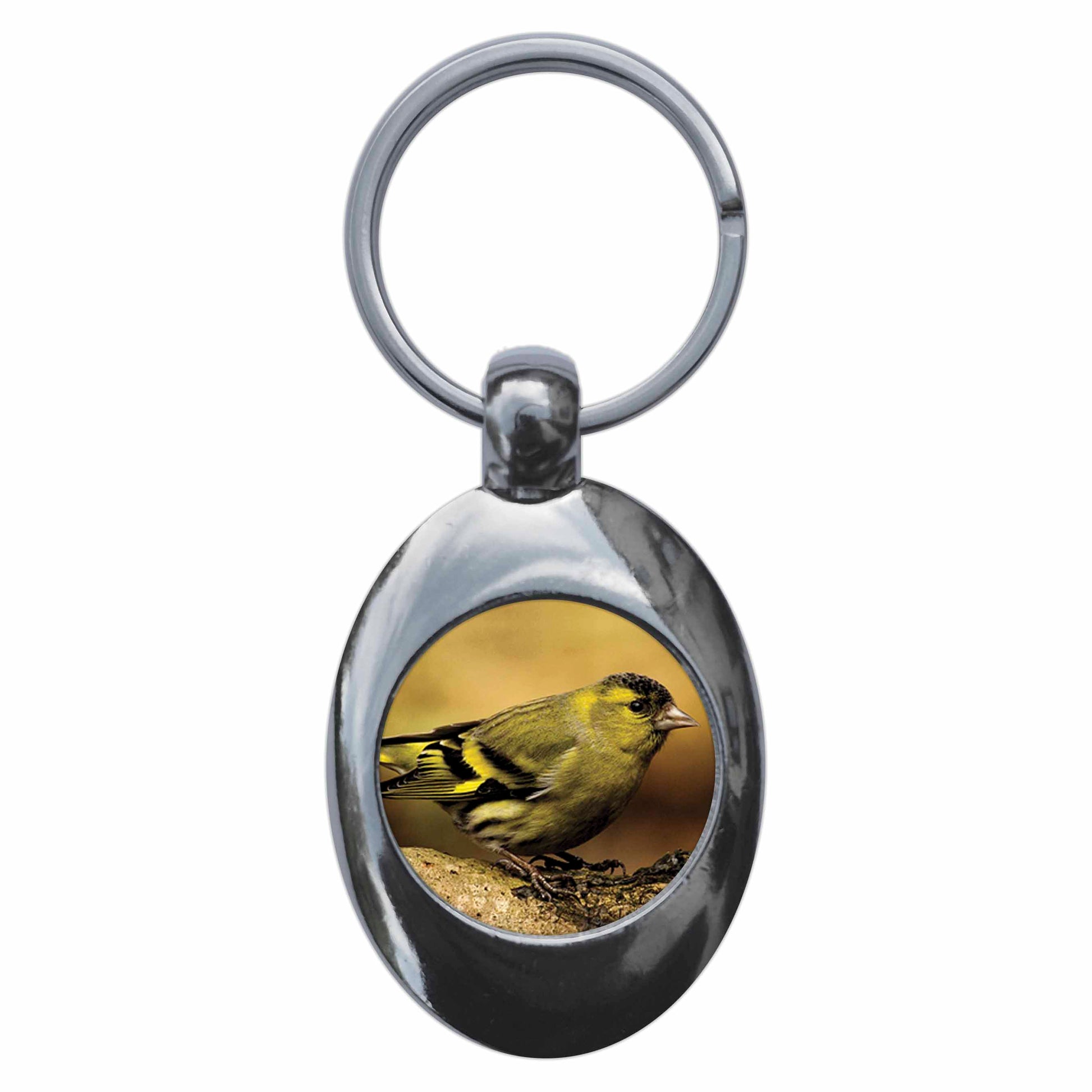 A picture of the front of the product, titled Siskin Metal Keyring With Trolley Coin