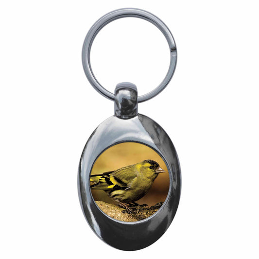A picture of the front of the product, titled Siskin Metal Keyring With Trolley Coin