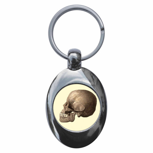 A picture of the front of the product, titled Human Skull Anatomy Diagram Metal Keyring With Trolley Coin