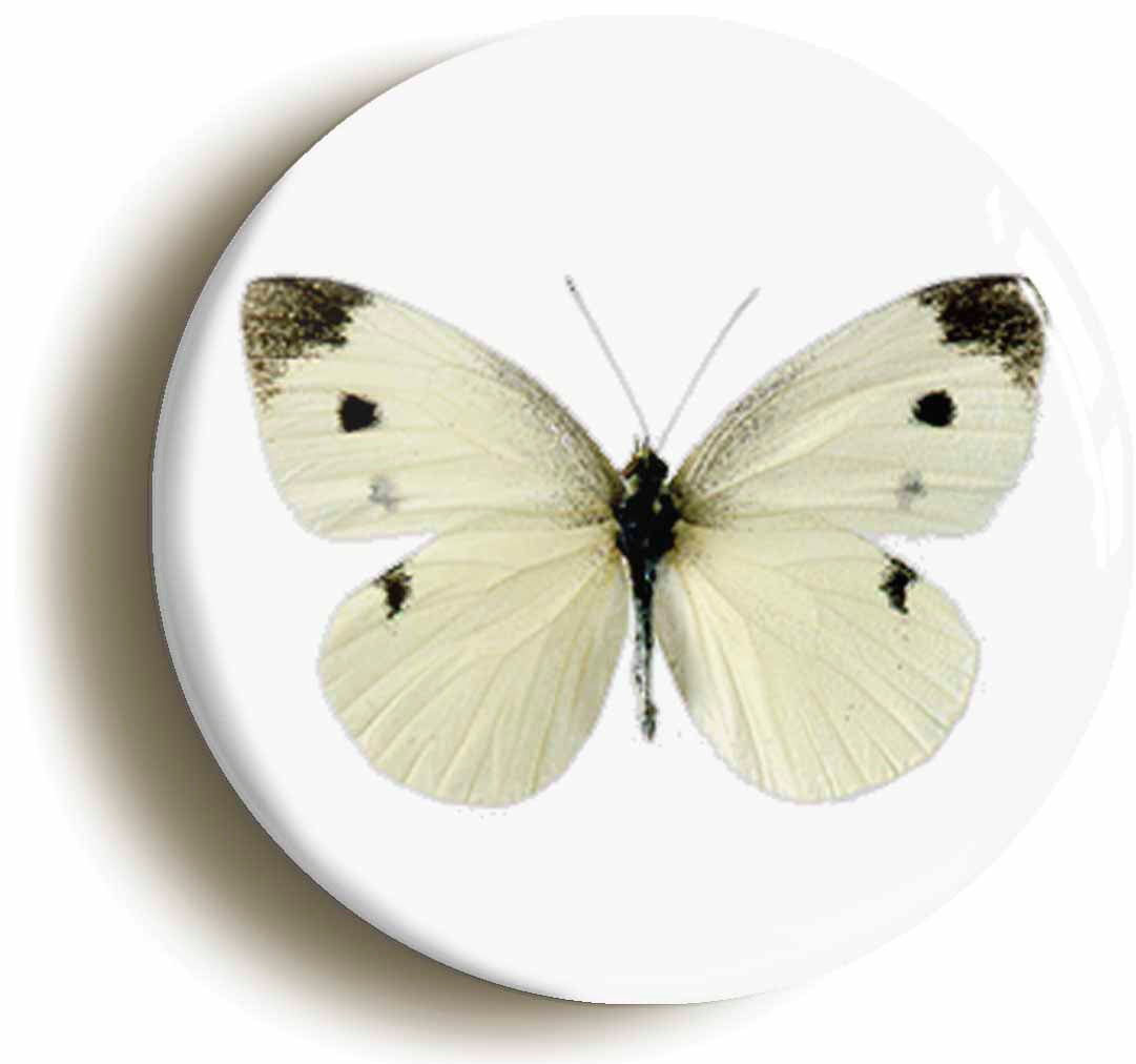 A picture of a button badge