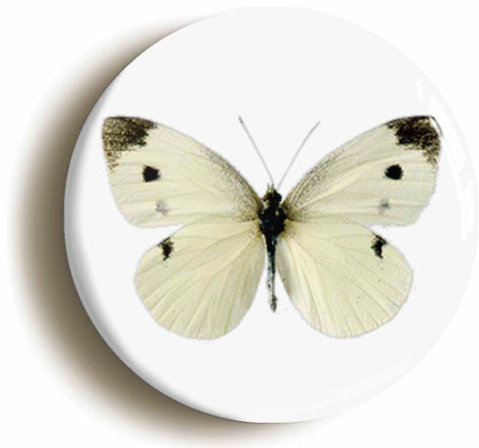 A picture of a fridge magnet